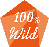 100％ Wild
