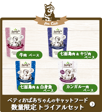 ベティおばあちゃんのペットフード 猫用レトルトウェットフード4種類をお試しできるトライアルセット