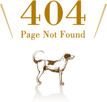 404 Page Not Found