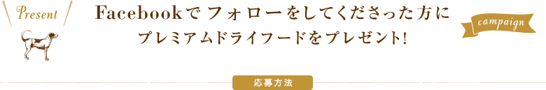 Facebookでフォローをしてくださった方にプレミアムドライフードをプレゼント!