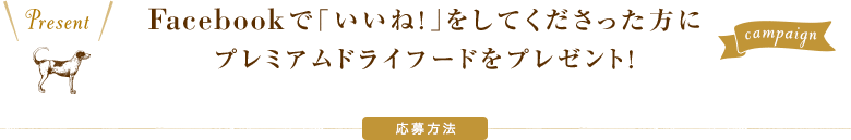 Facebookで「いいね!」をしてくださった方にプレミアムドライフードをプレゼント!