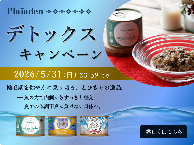 プレイアーデンからデトックスキャンペーン開催中