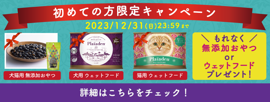 プレイアーデンから初回購入キャンペーン