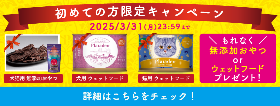 プレイアーデンから初回購入キャンペーン