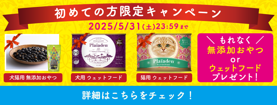 プレイアーデンから初回購入キャンペーン