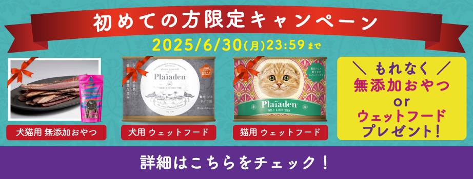 プレイアーデンから初回購入キャンペーン