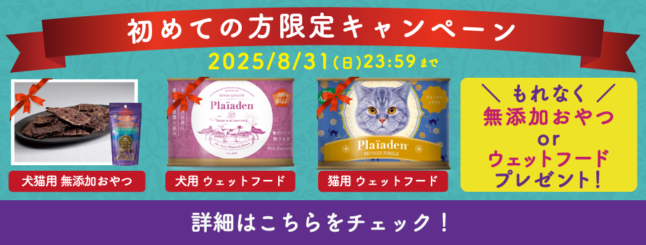 プレイアーデンから初回購入キャンペーン