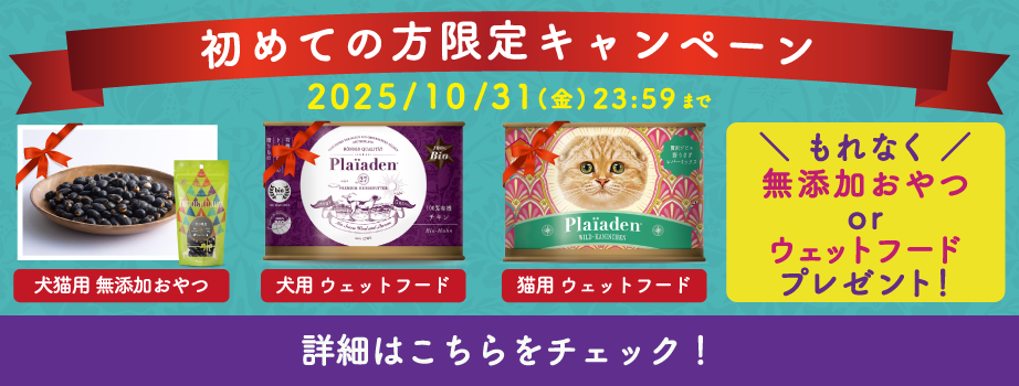プレイアーデンから初回購入キャンペーン