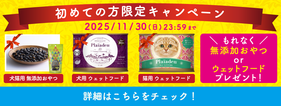 プレイアーデンから初回購入キャンペーン