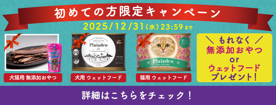 プレイアーデンから初回購入キャンペーン