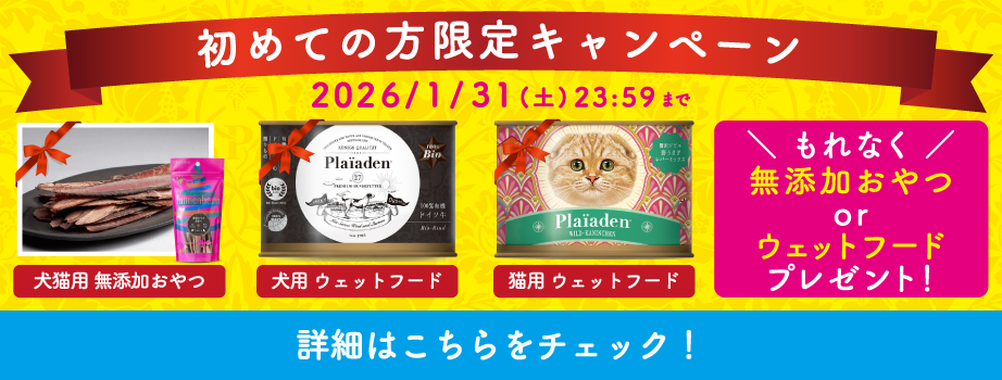 プレイアーデンから初回購入キャンペーン