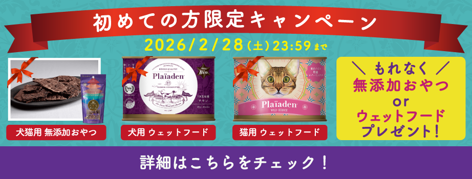 プレイアーデンから初回購入キャンペーン