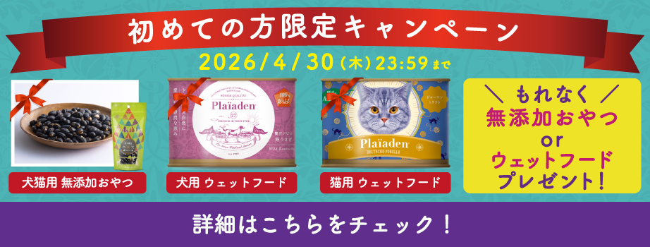 プレイアーデンから初回購入キャンペーン