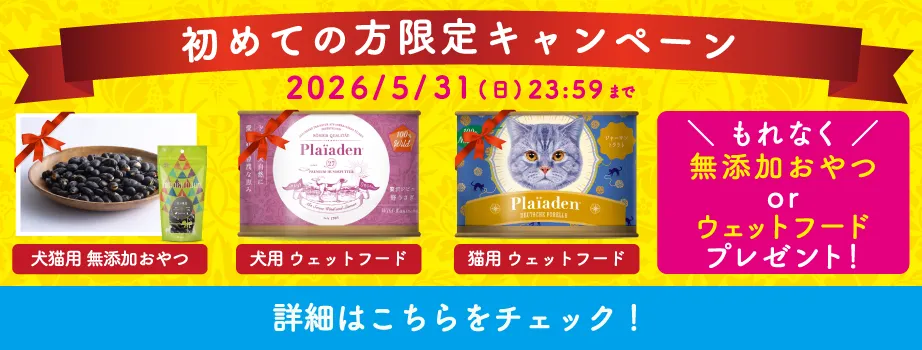 プレイアーデンから初回購入キャンペーン