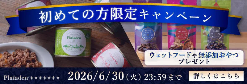 プレイアーデンから初回購入キャンペーン