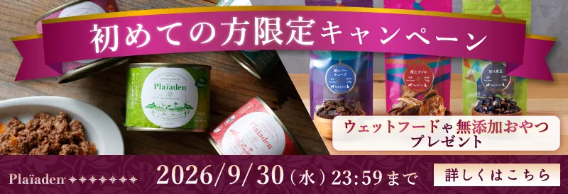 プレイアーデンから初回購入キャンペーン