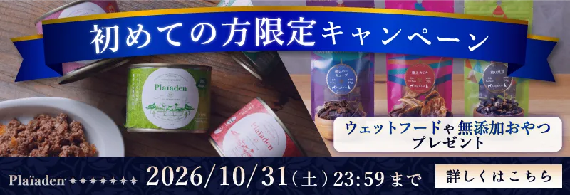 プレイアーデンから初回購入キャンペーン