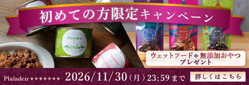 プレイアーデンから初回購入キャンペーン