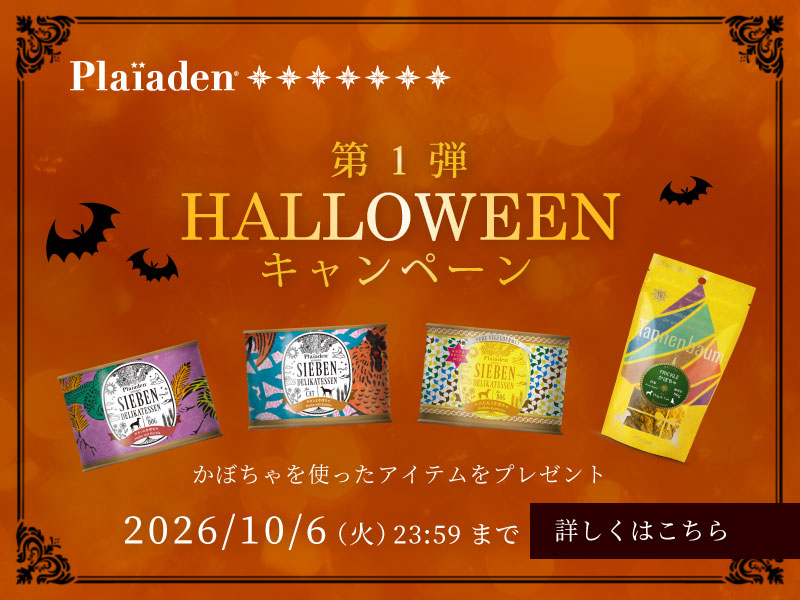 ハロウィンキャンペーン第1弾！ほくほく甘いかぼちゃアイテムをプレゼント♪