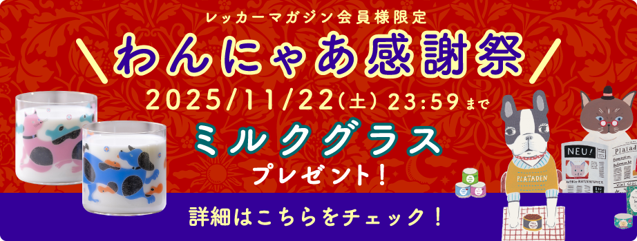 プレイアーデンからわんにゃあ感謝祭