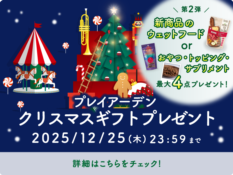 プレイアーデンからクリスマスギフトプレゼント第2弾