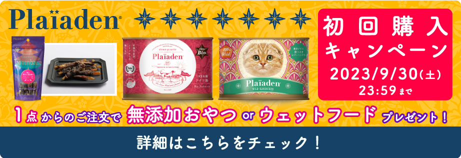 プレイアーデンから初回購入キャンペーン