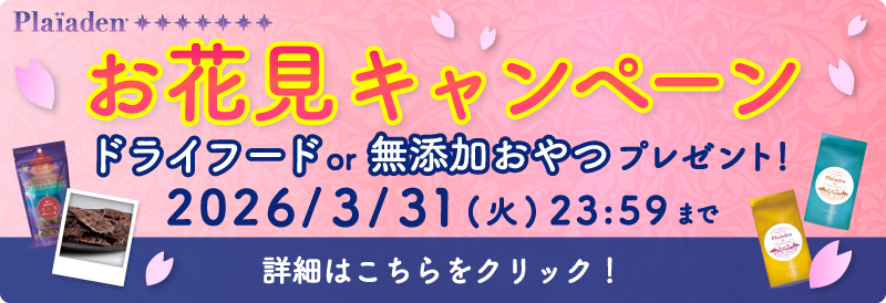 プレイアーデンからお花見キャンペーン