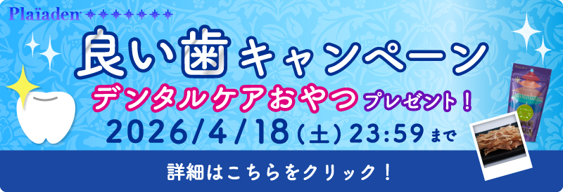 プレイアーデンから良い歯キャンペーン開催中