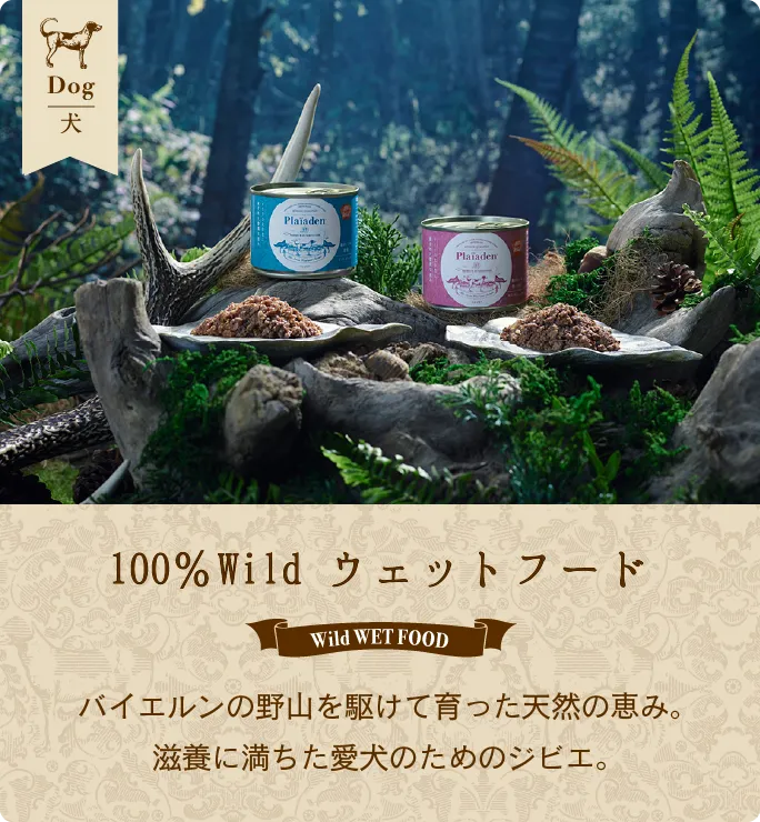 100%Wild ウェットフード