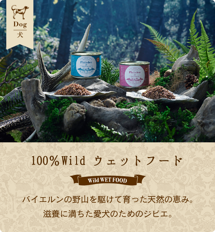 100%Wild ウェットフード