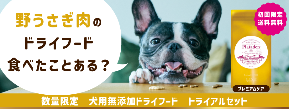 嗜好性の高いドイツ産最高級野うさぎ肉を使用した犬用ドライフード「プレミアムケア」のトライアルセット。送料無料でお試し頂けます。グルテンフリーのため、アレルギー予防にも。