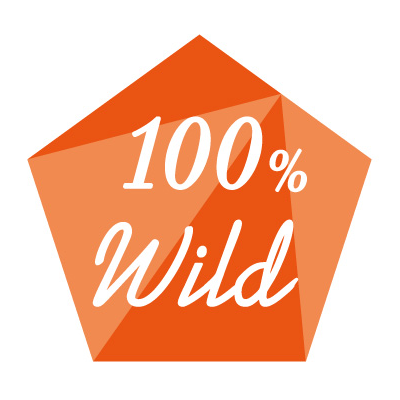 100%Wild　アイコン