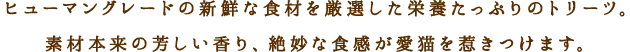 SƔɂ̂߂̂JBq[}O[h̍Hނ̎|Ïkꂽv~Aȃg[cłB