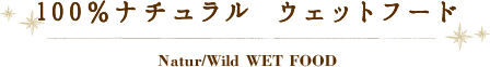 100i` EFbgt[h