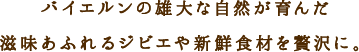 oCG̗YȎR񂾎ӂWrGVNHނґɁB