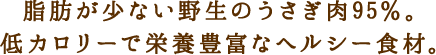 脂肪が少ない野生のうさぎ肉95％。低カロリーで栄養豊富なヘルシー食材。