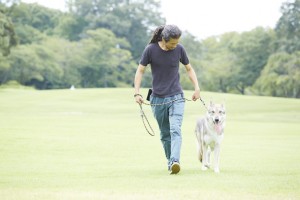 緑地を散歩する男性とサーロスウルフハウンド