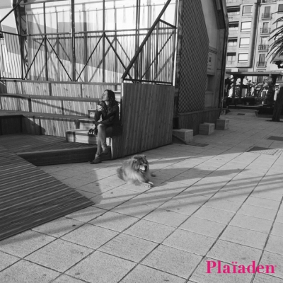 ペット先進国ドイツの風景 Nr.355