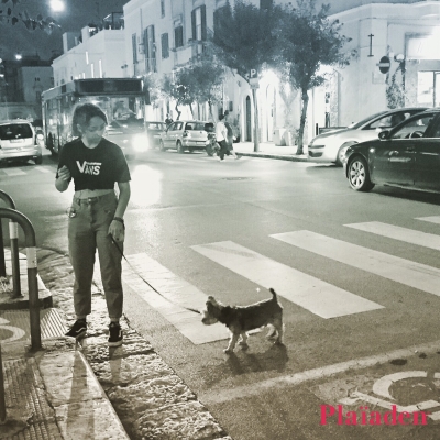 街を散歩する犬と飼い主
