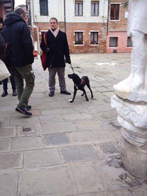 広場を散歩する黒い犬