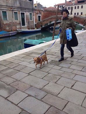 運河の沿岸沿いを散歩する犬