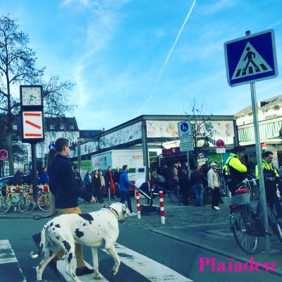 町中を歩く犬と人々