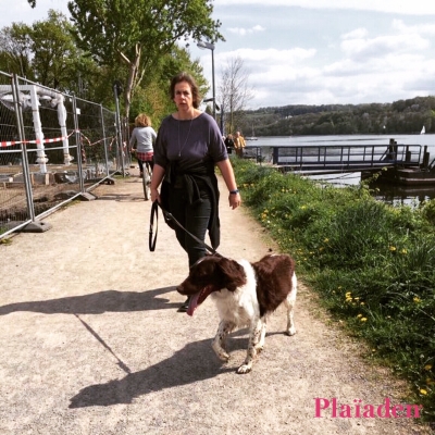 公園を散歩している犬と飼い主