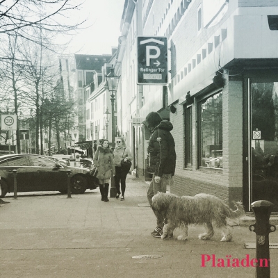 商店街を散歩する犬と飼い主