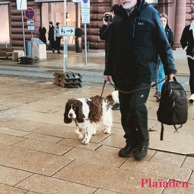 街を散歩する犬と紳士