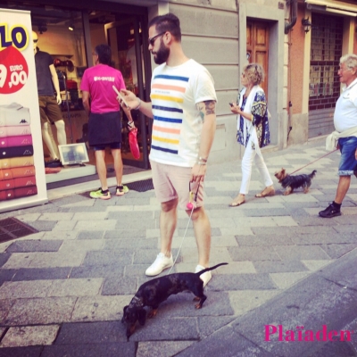 街角の犬と飼い主