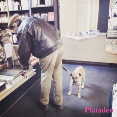 書店にいる犬と飼い主