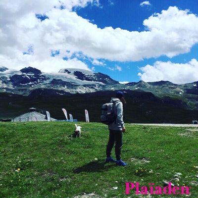 ペット先進国ドイツの風景 Nr.381