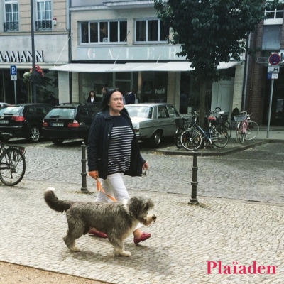 散歩中の犬と飼い主