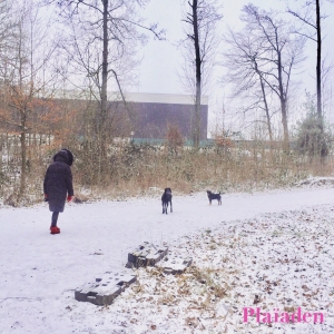 雪道を散歩する犬と飼い主